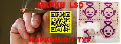 соль ск Гатчина