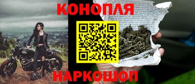 сатива Гагарин