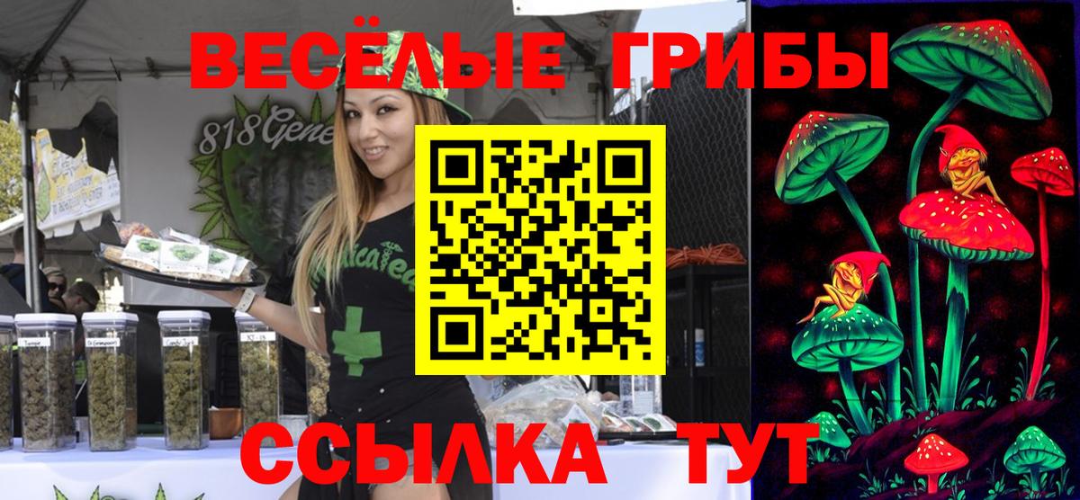 Галлюциногенные грибы Psilocybine cubensis  Вход с VPN  Ликино-Дулёво  где купить наркоту  Псилоцибиновые грибы ЛСД 